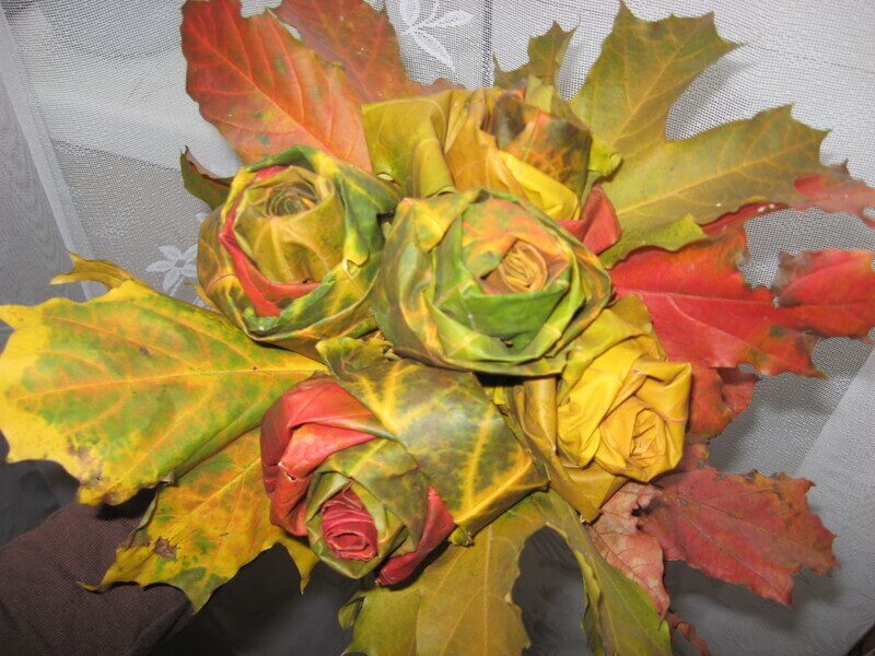 желтые розы