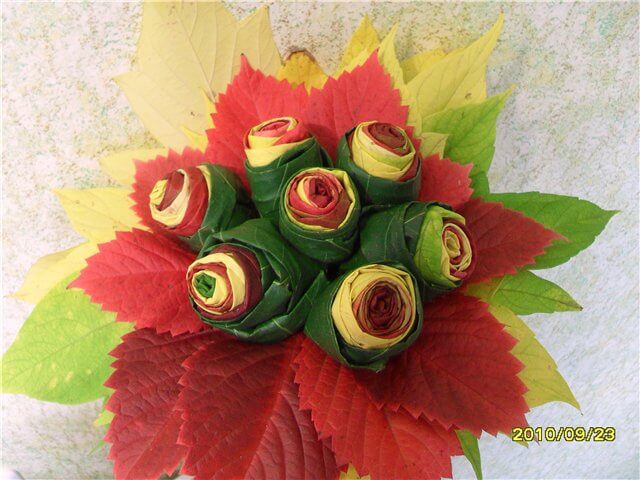 зеленые розы