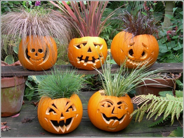 «Тыквенные» шалости