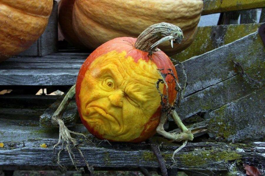 задумчивая тыковка