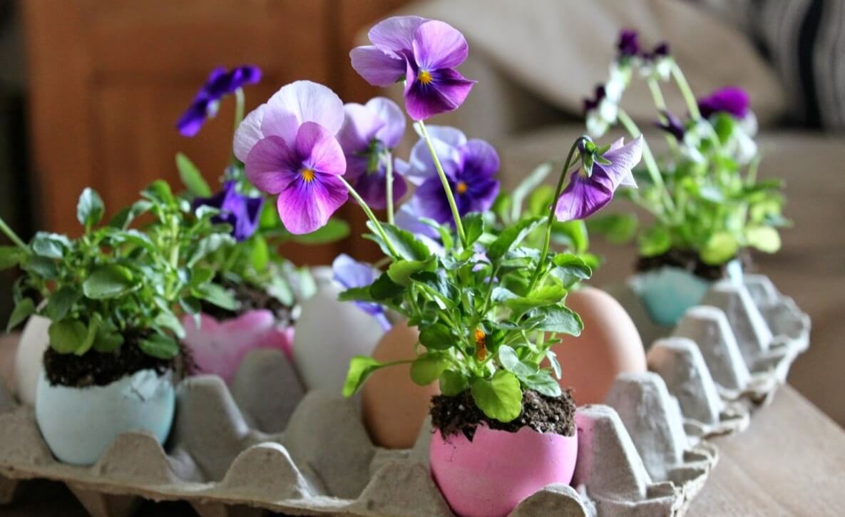 пасхальный декор из яичной скорлупы