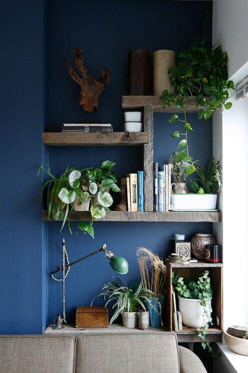 Цветы и растения в интерьере: свежие идеи