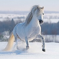 Свадебная фотография2