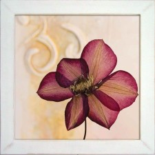 Декор в раме fp0892 pressed flower 40x40см - арт. [13715] - фото 1