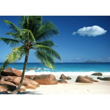 Декор на холсте fp04053 praslin beach seychelles 50x70см - арт. [14679] - фото 1