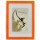 фоторамка 323-965 13*18 оранжевыая  - арт. [42732] - фото 1